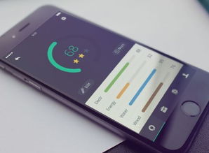 手机应用软件开发的核心细节与关键流程